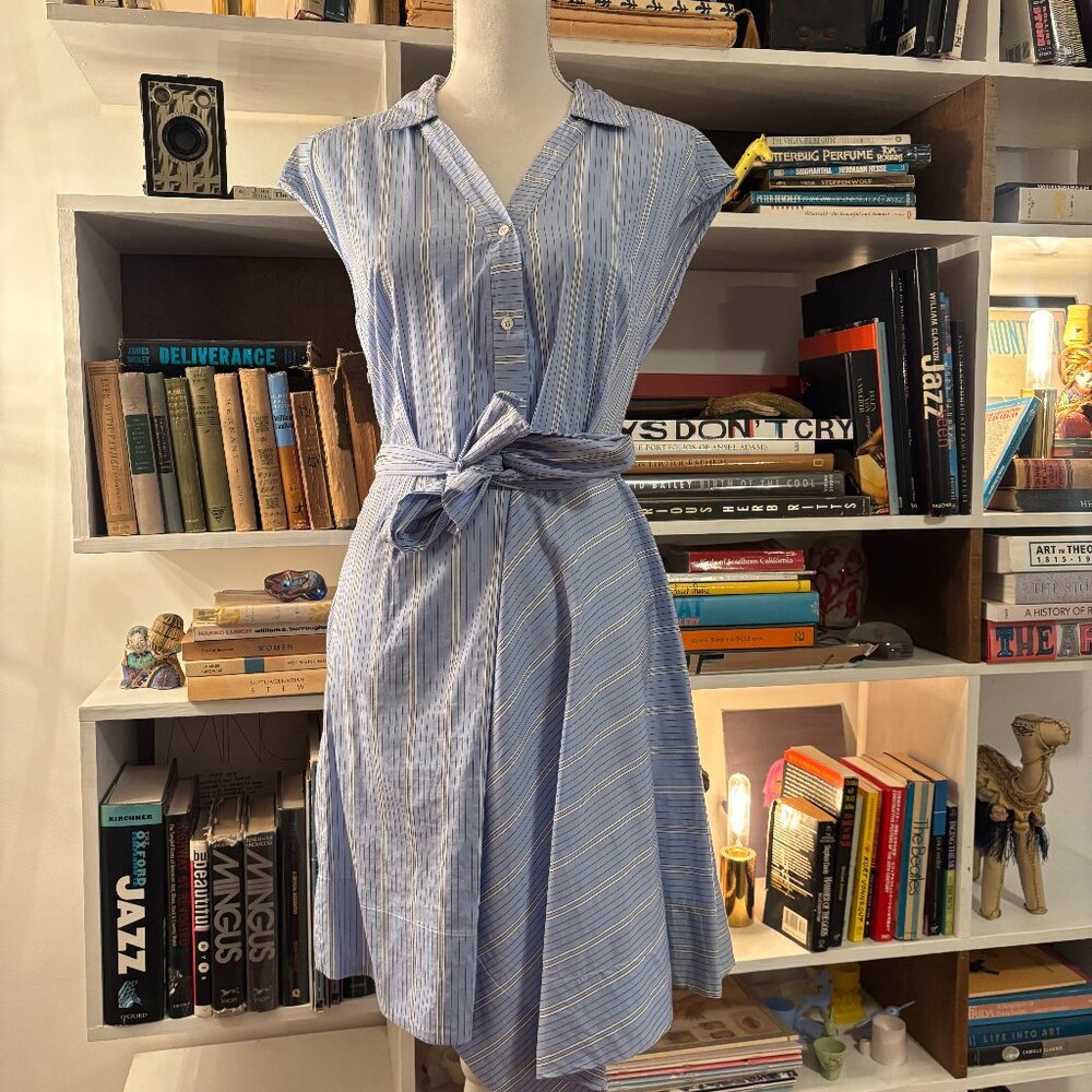 AGLINI PINSTRIPE DRESS